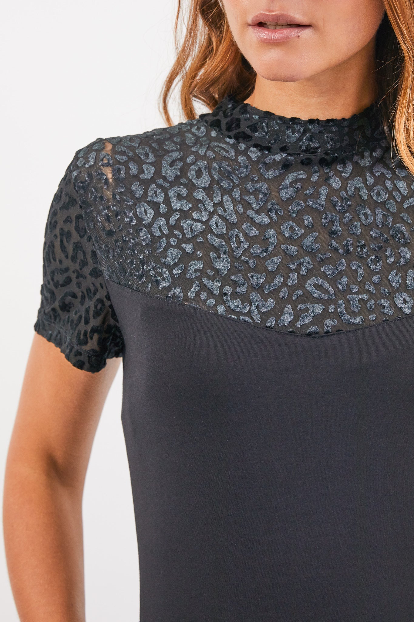 Avy top