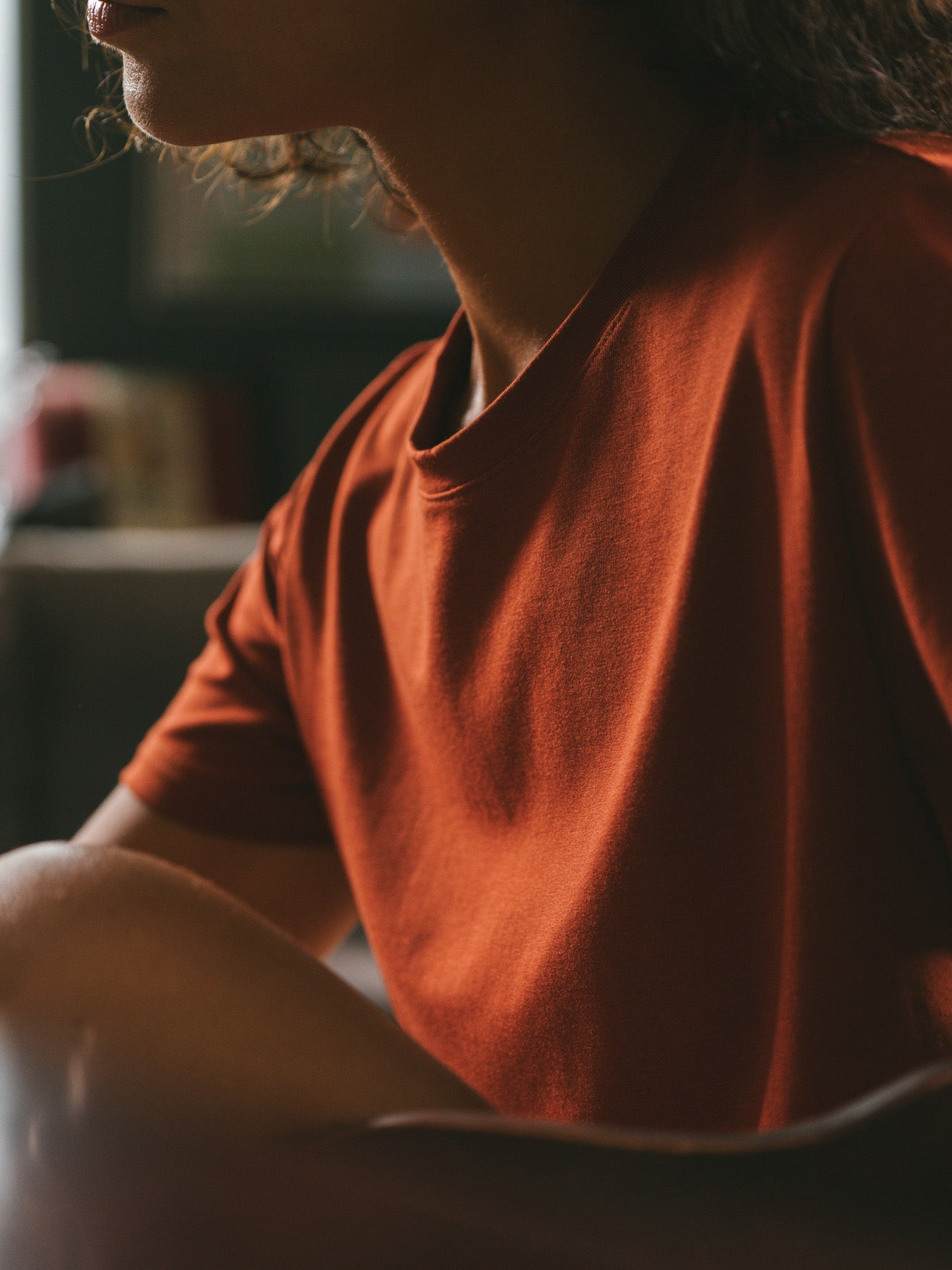 Pétrone T-shirt manches courtes coton pima micromodal rouille femme#couleur_rouille