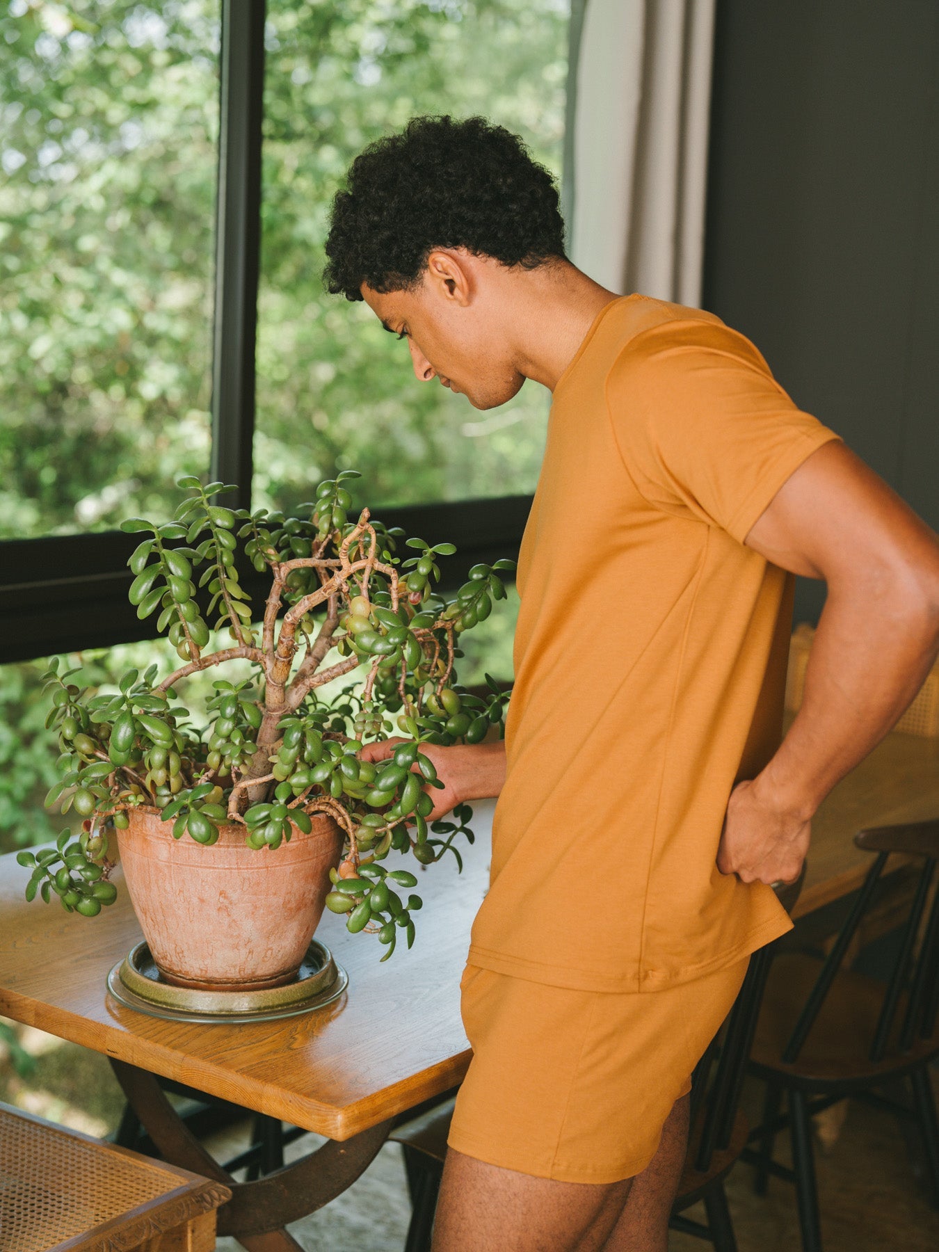 Pétrone T-shirt manches courtes coton pima micromodal ocre homme#couleur_ocre