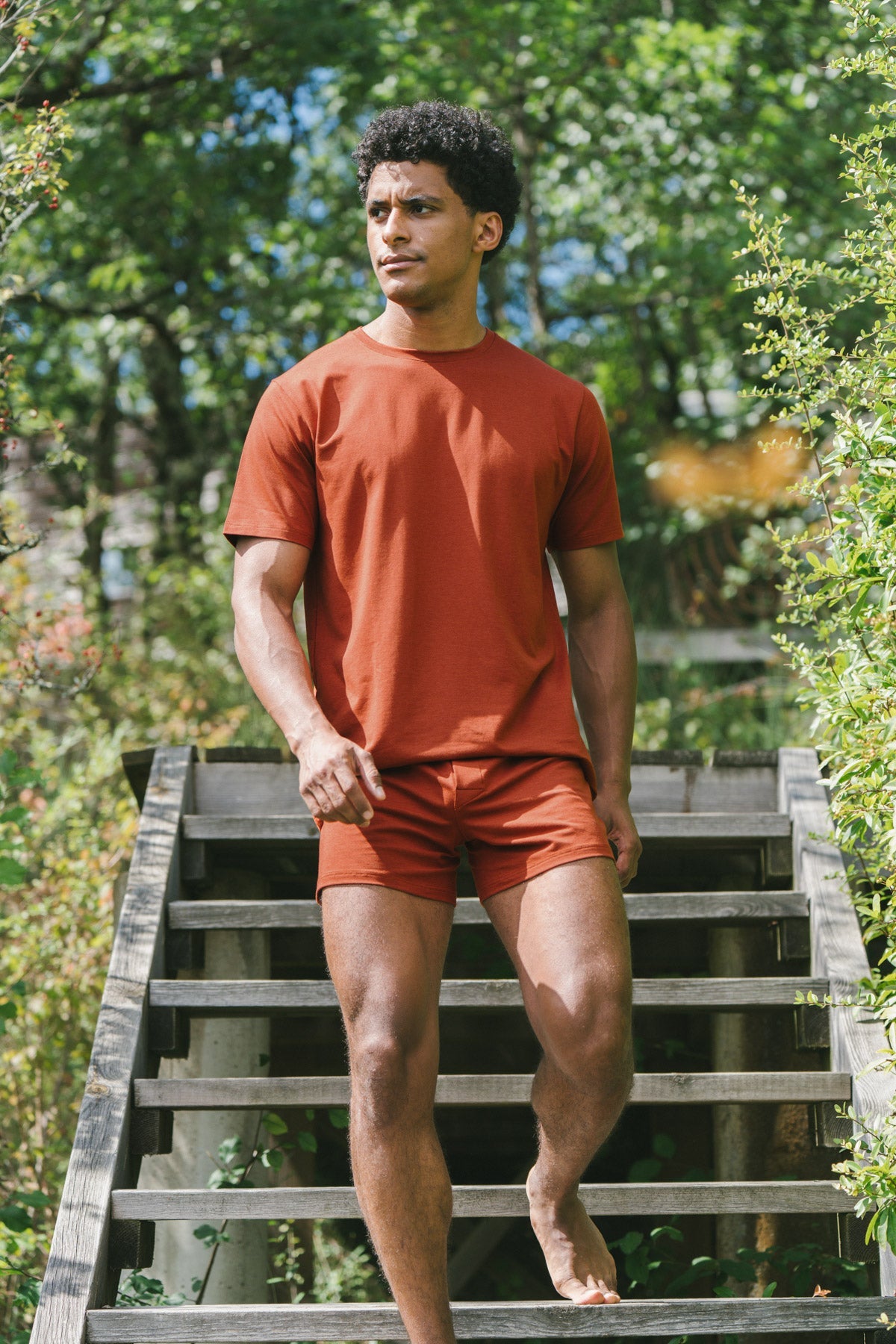 Pétrone T-shirt manches courtes coton pima micromodal rouille homme#couleur_rouille